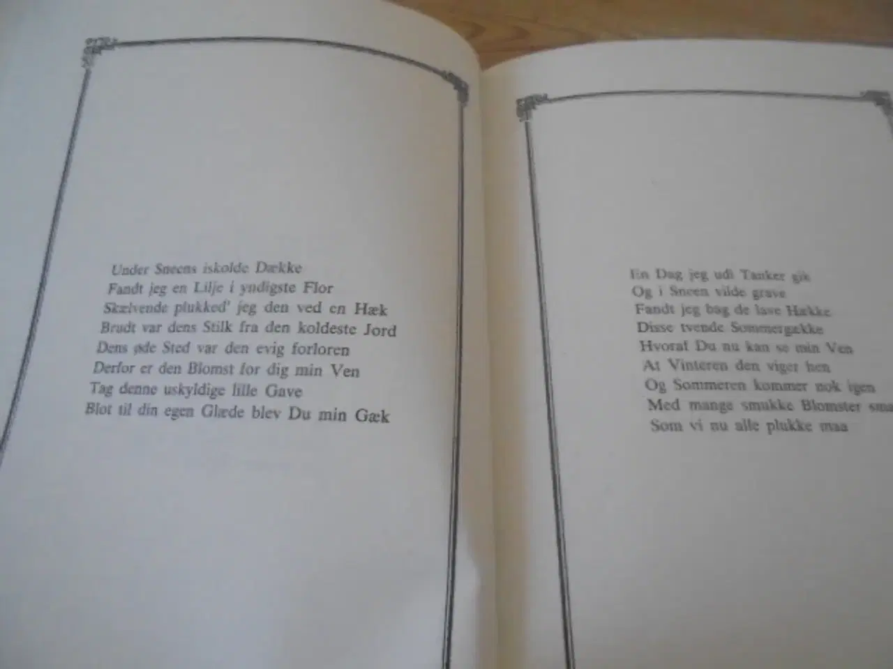 Billede 5 - Vintergæk og sommernar – Margit Brandt