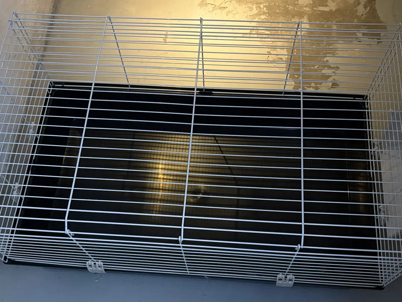 Billede 6 - GNAVERBUR til kanin og marsvin