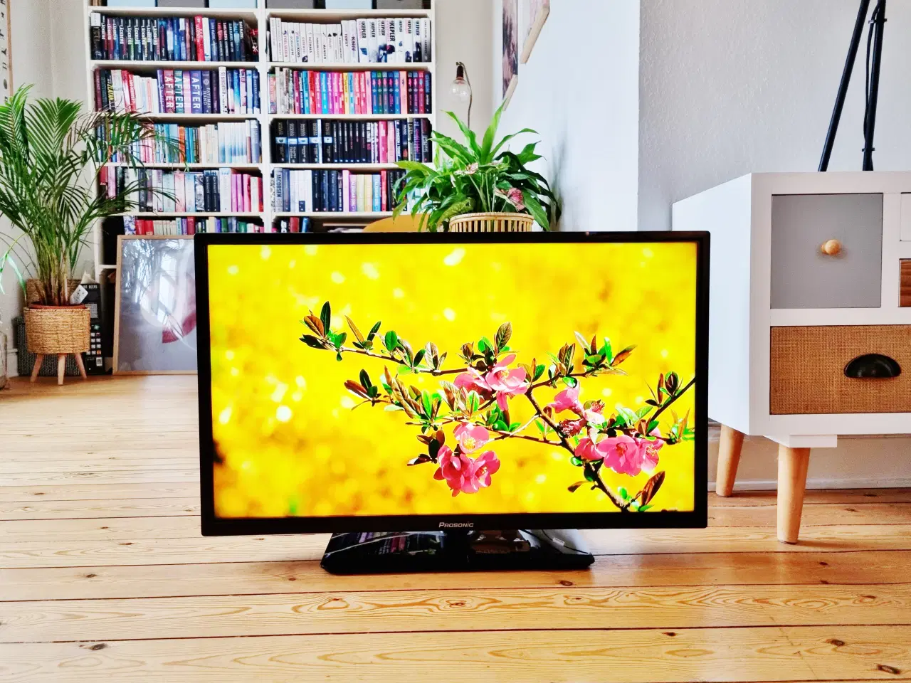 Billede 3 - Prosonic 32" Android Smart TV 2023