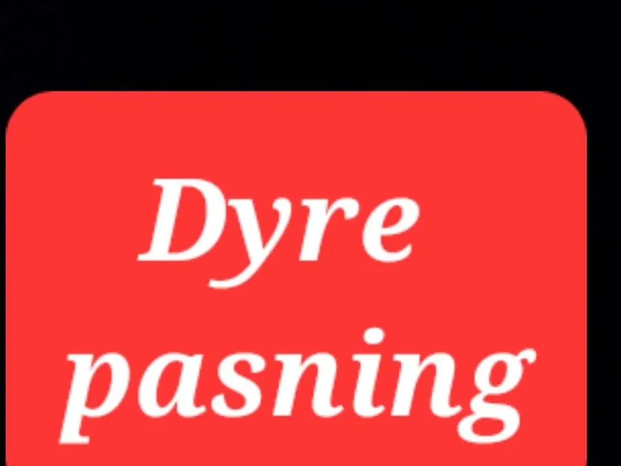 Billede 1 - Pasning af dyr