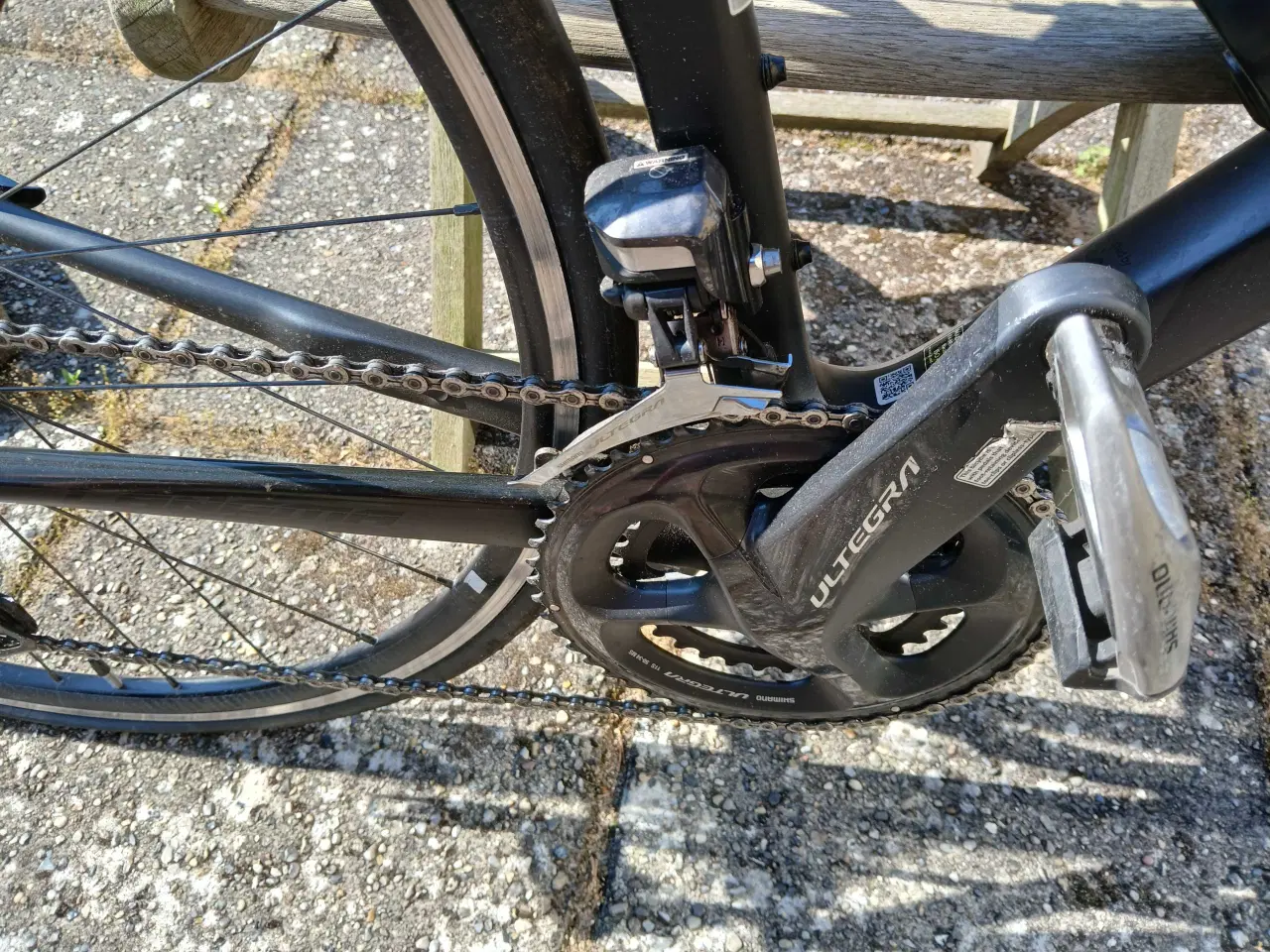 Billede 4 - Pigeracer Giant liv di2 