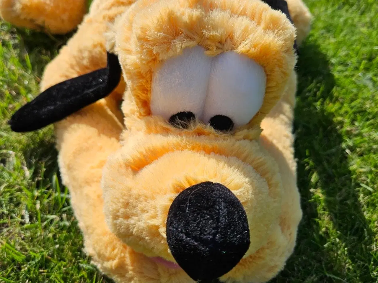 Billede 5 - Disney Pluto bamse