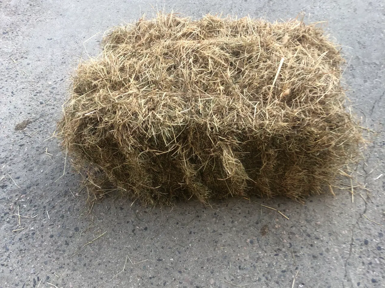 Billede 1 - Ny presset hø