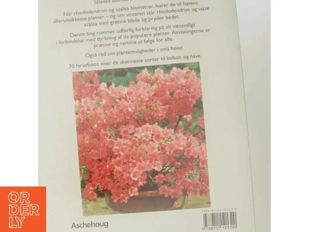 Billede 3 - Rhododendron og azalea : sådan trives og blomstrer de bedst : ekspertråd om voksesteder, plantning, pleje og formering : med sorter til have
