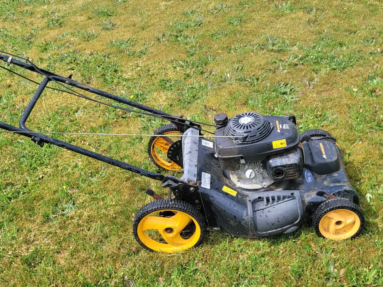 Billede 5 - Honda plæneklipper 