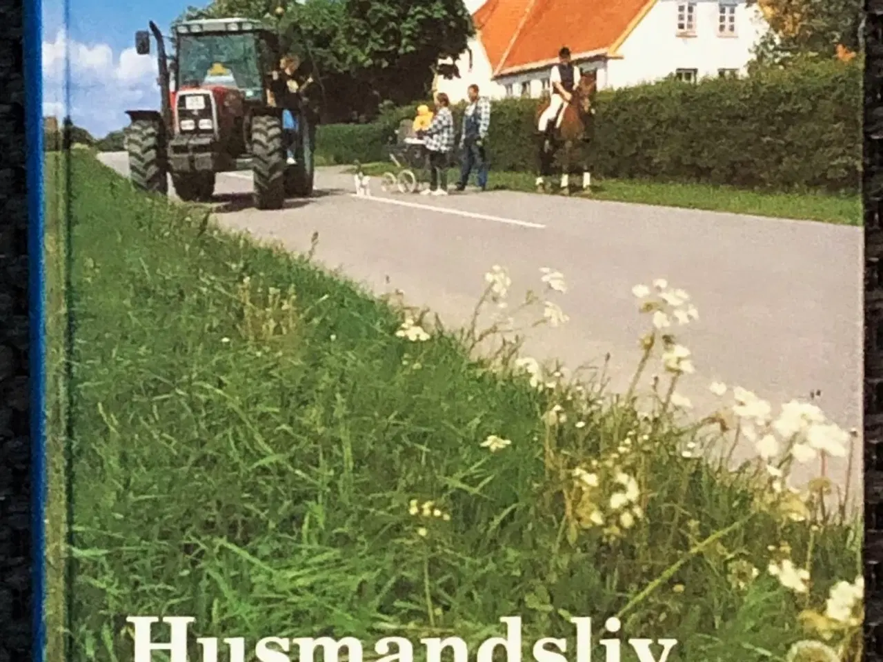 Billede 1 - Husmandsliv under afvikling