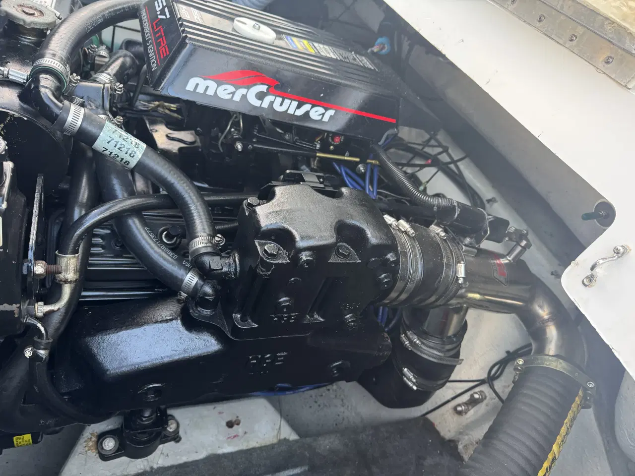 Billede 7 - Campion chase 630