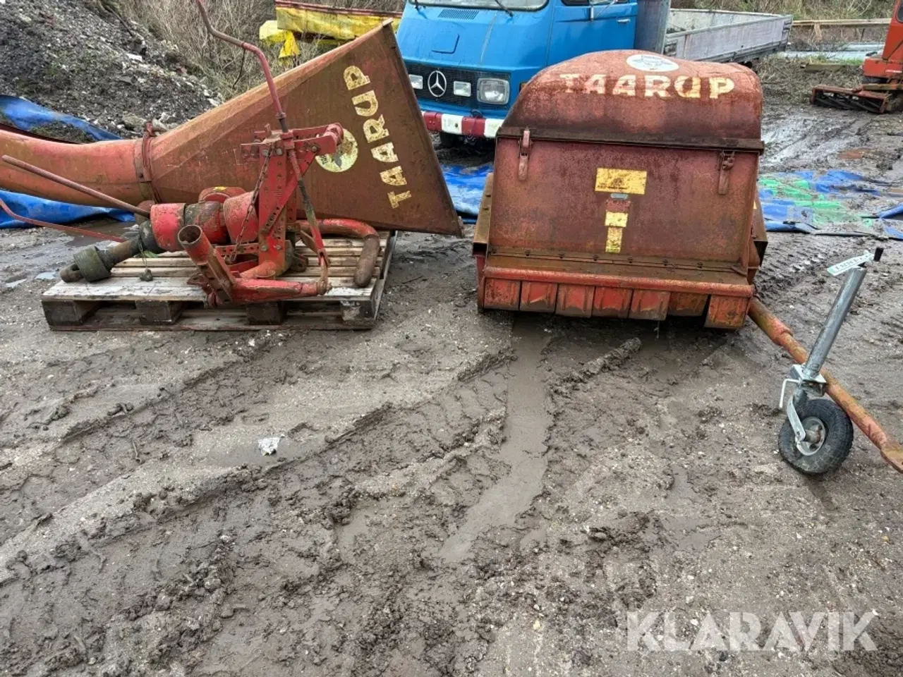 Billede 3 - Grønthøster Taarup