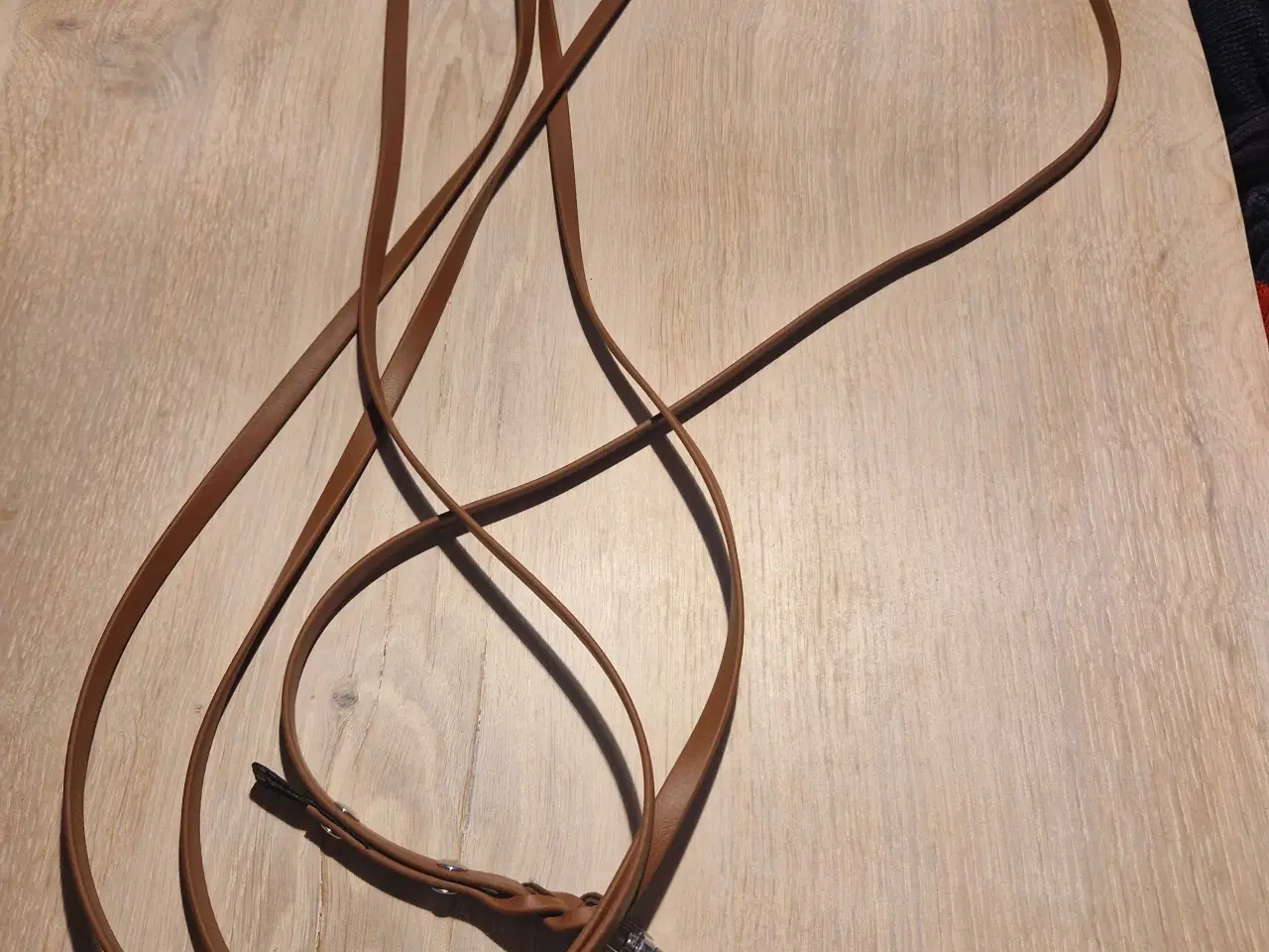 Billede 4 - Nosework og/eller spor line