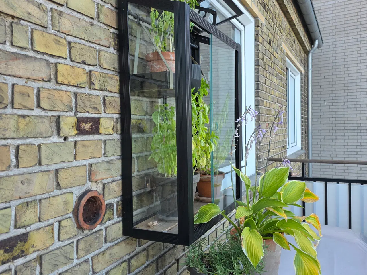 Billede 1 - Juliane urban drivhus 
