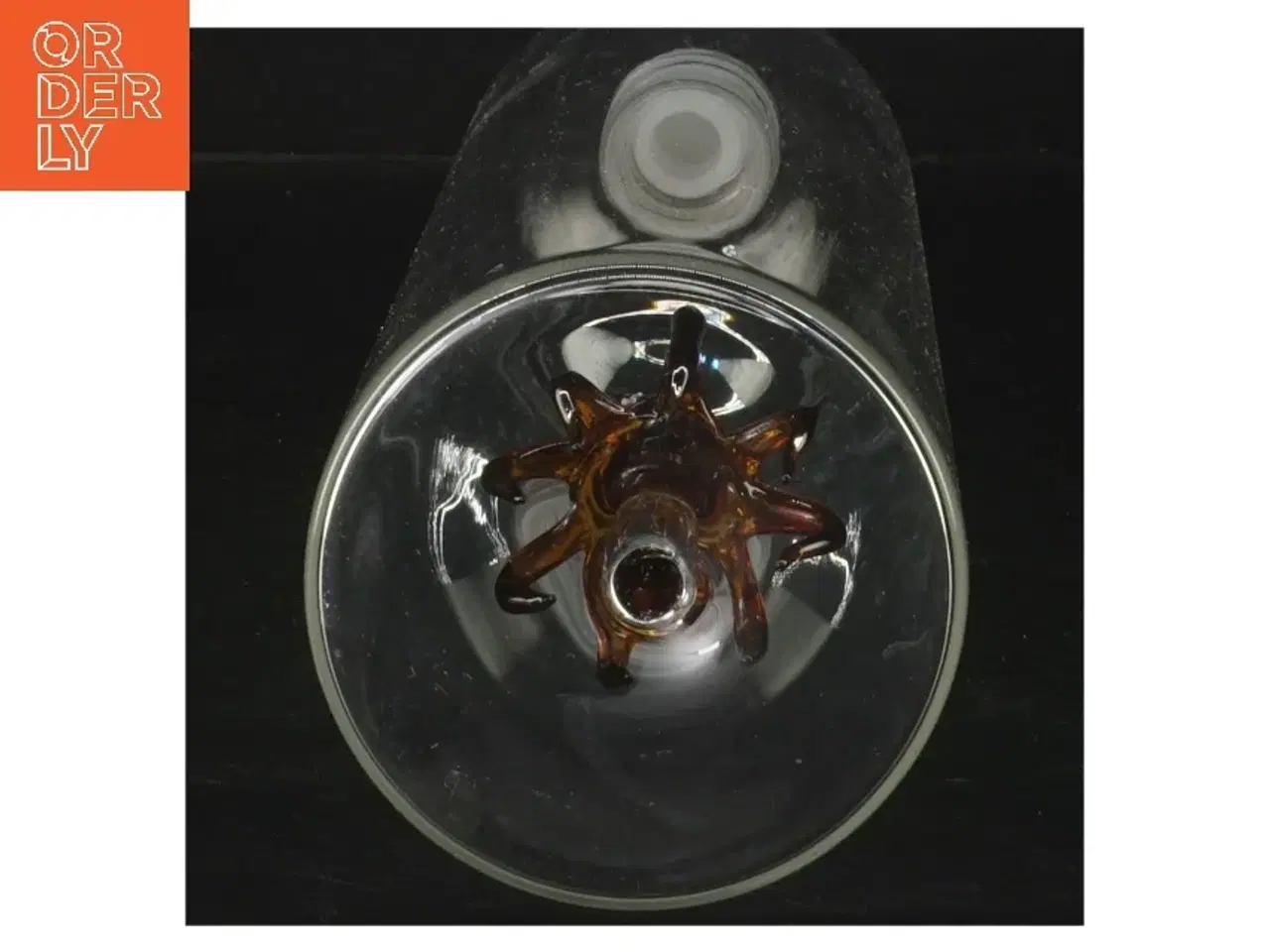 Billede 3 - Glaskaraffel med blæksprutte design fra Balvi (str. 32 cm)