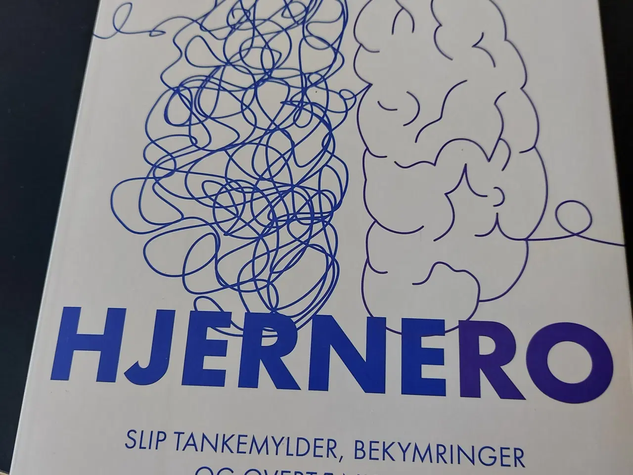 Billede 1 - 1 stk. bog HJERNERO sælges