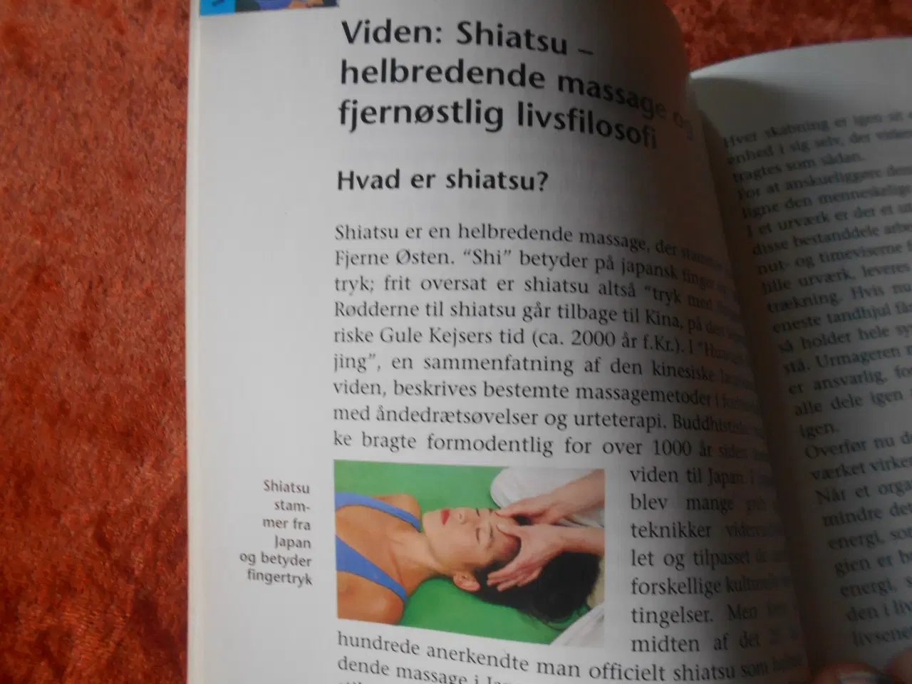 Billede 2 - Shiatsu, Bernard C. Kolster