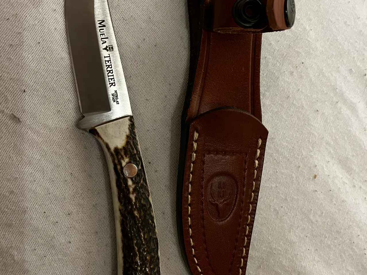 Billede 1 - Jagtkniv fra Muela Terrier