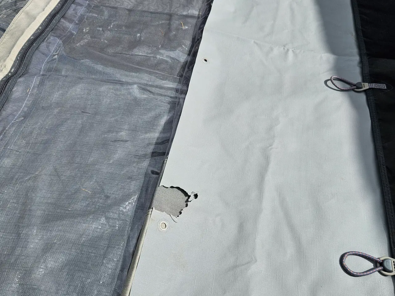 Billede 7 - Isabella fortelt  Commodore Dawn 