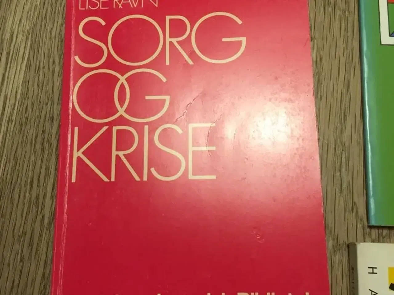 Billede 2 - 3 bøger om SORG