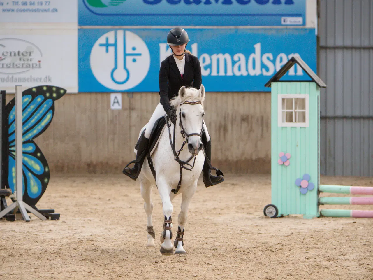 Billede 4 - Kat. 1 pony hoppe