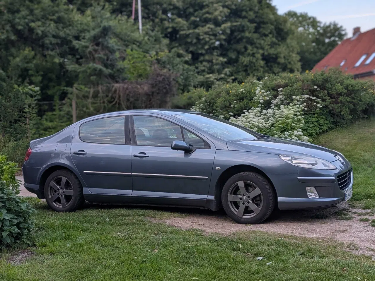Billede 6 - Peugeot 406 2.0 hdi med partikelfilter 
