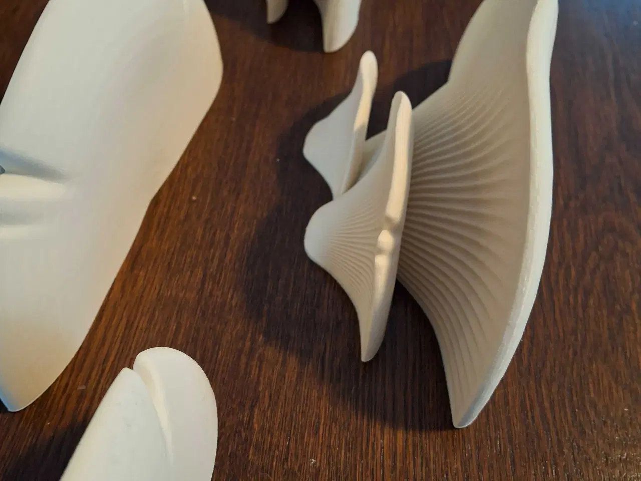 Billede 3 - Svampe hylder 