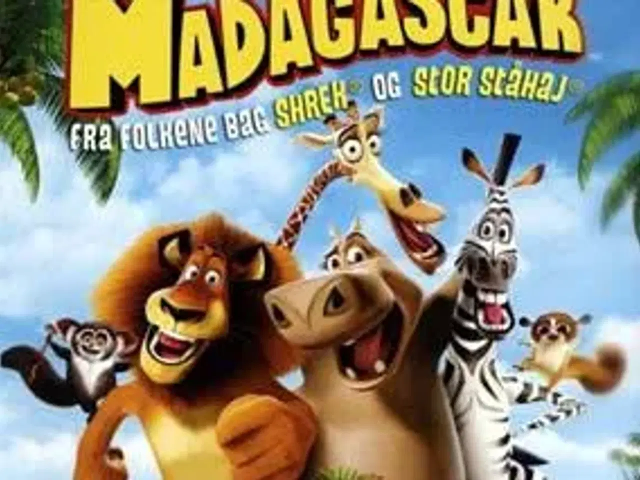 Billede 1 - Madagascar ; SE !