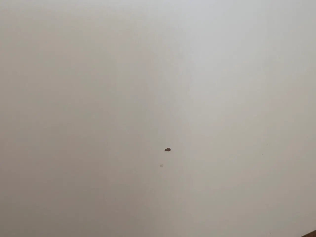 Billede 3 - Sebra seng 