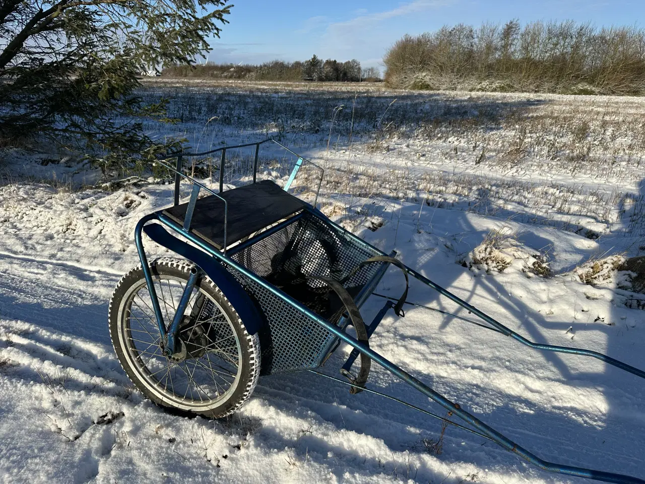 Billede 2 - Sulky til pony 