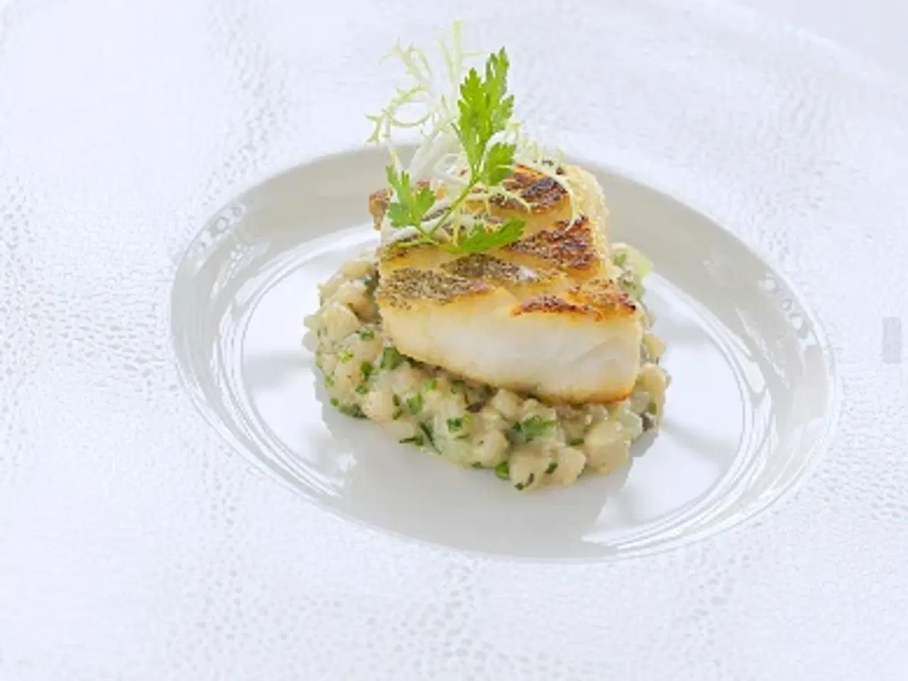 Billede 2 - Gavekort til intimkoncert med Steffen Brandt