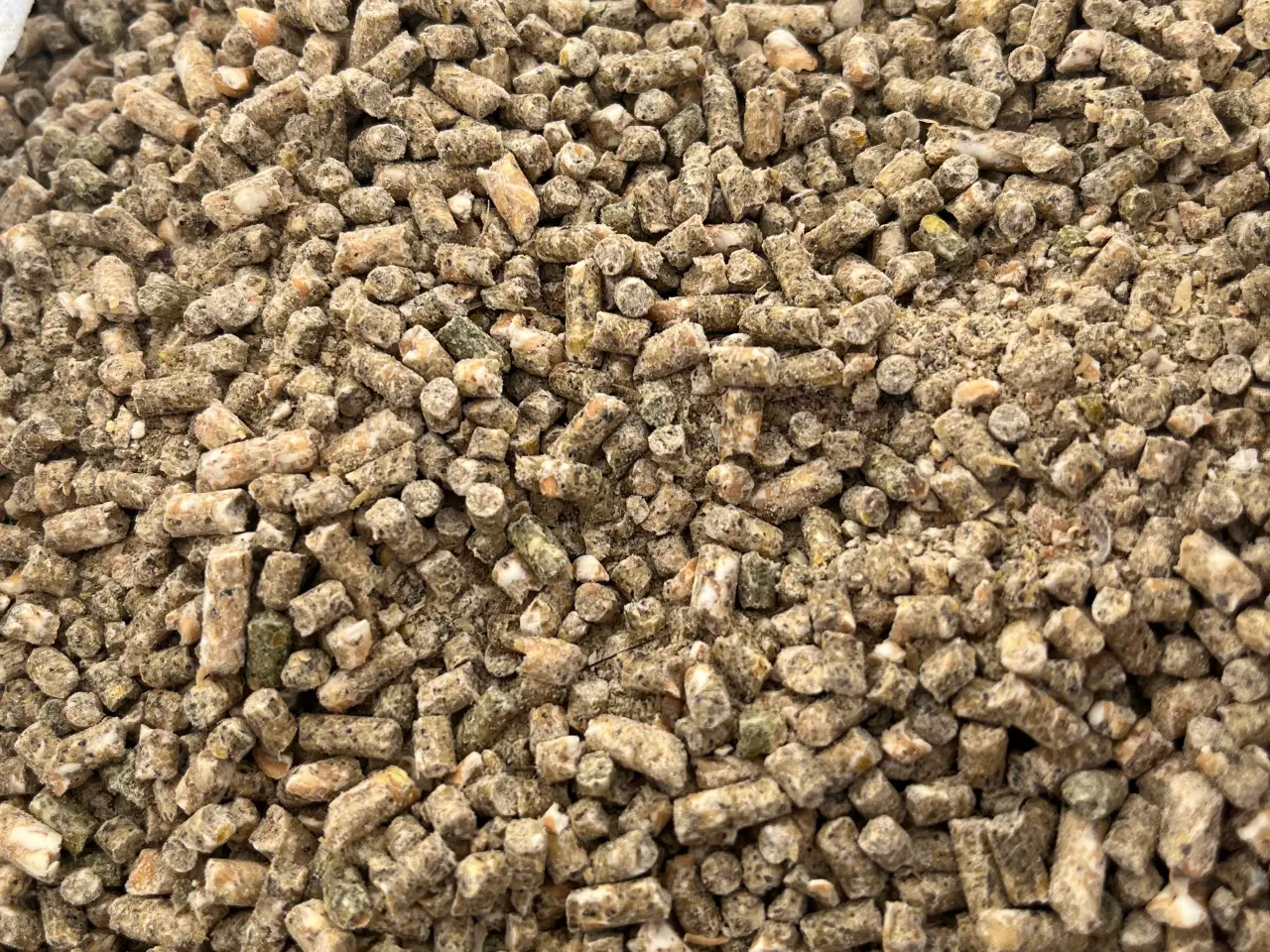 Billede 2 - Hønsefoder 🐓🐓