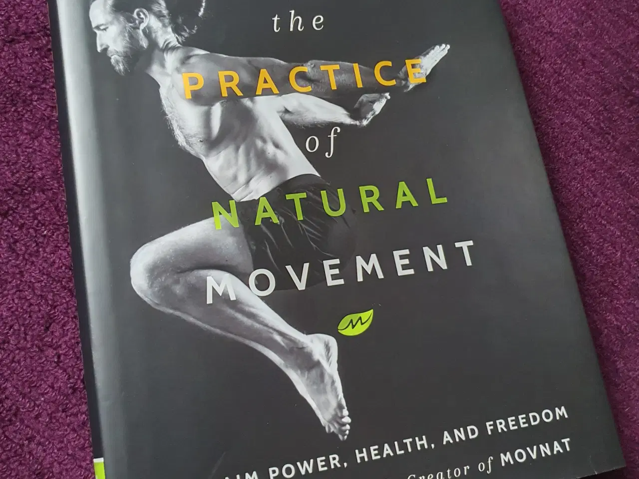 Billede 7 - The Practice of Natural Movement af Erwan Le Corre