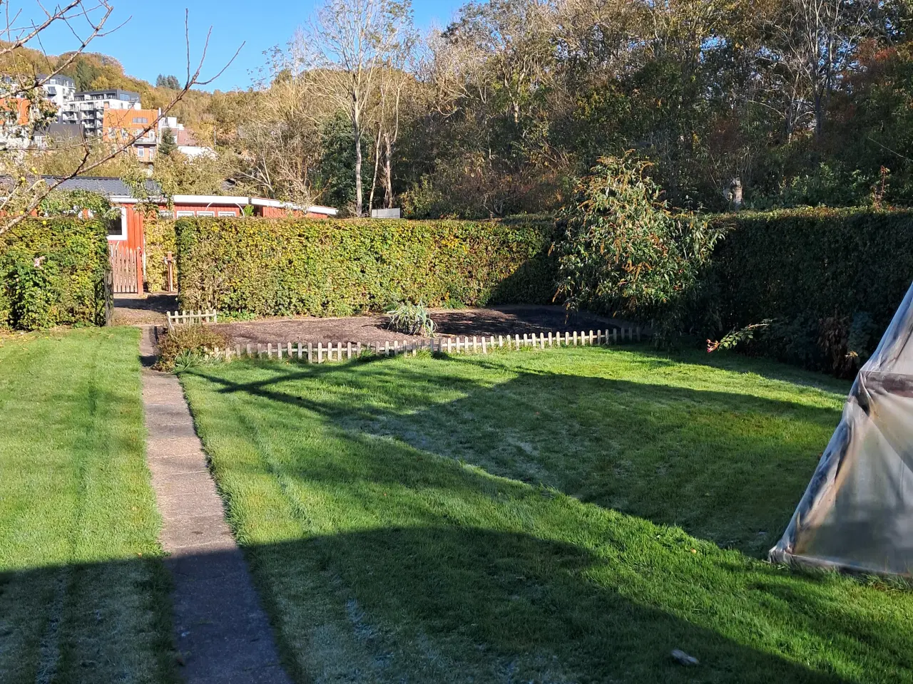 Billede 4 - Kolonihave I Vejle