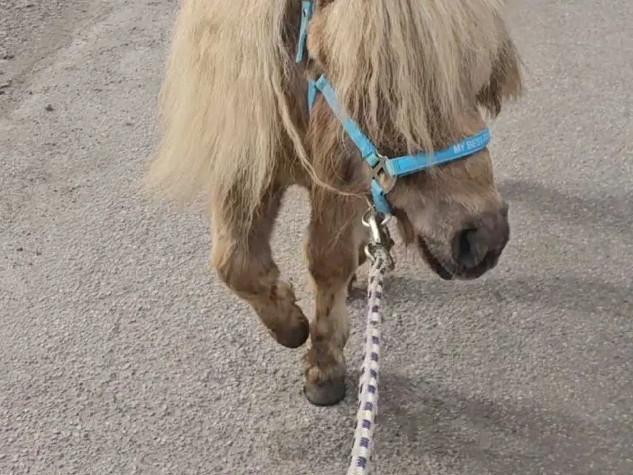 Billede 1 - 2 unikke drenge med fuld tavle 