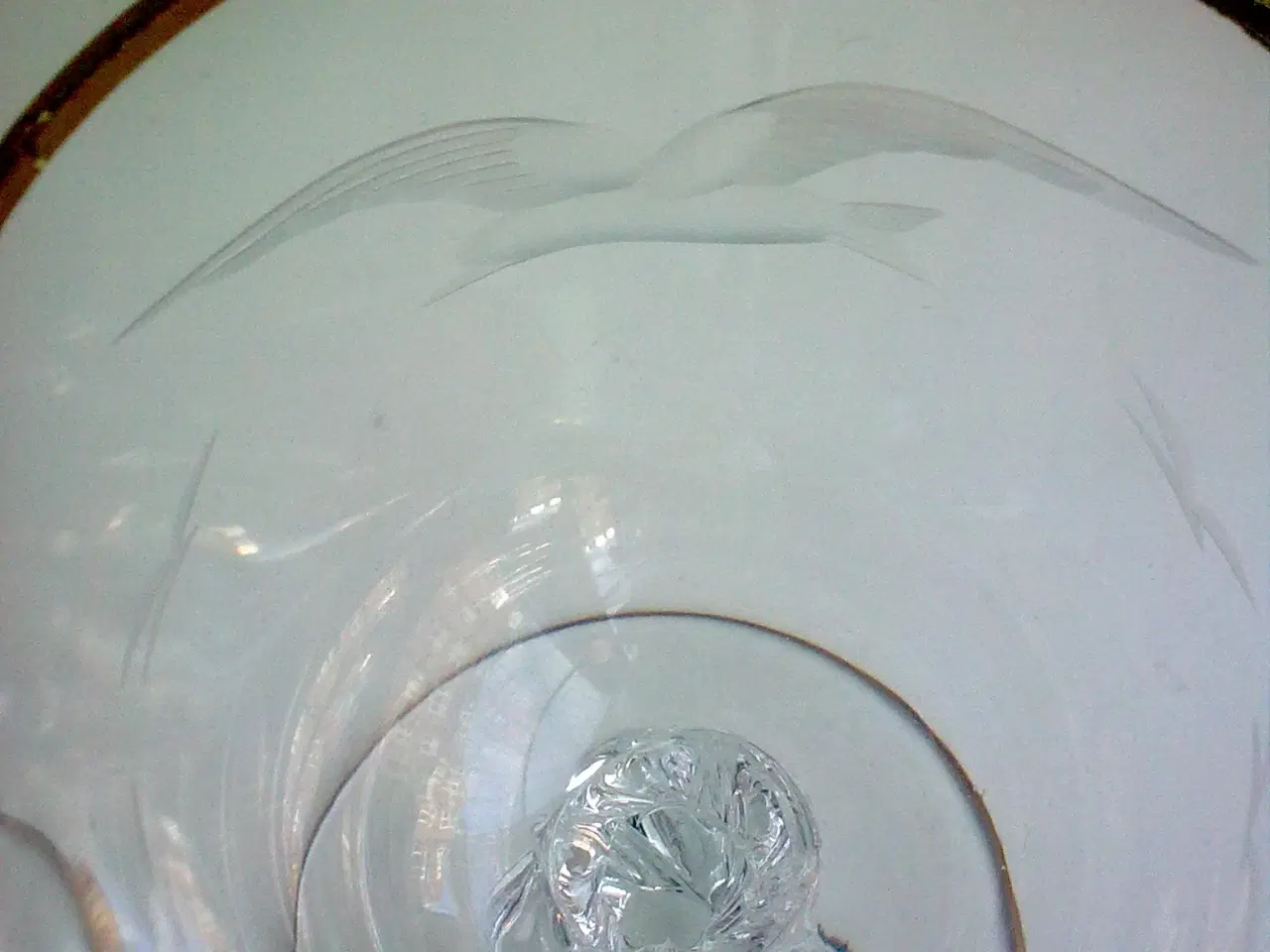 Billede 6 - Måge fugl slibning på vinglas DANMARK