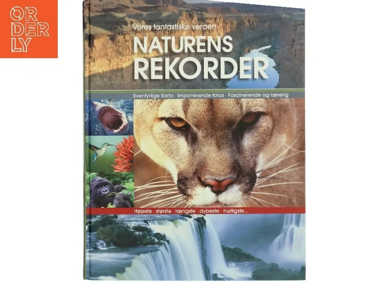 Billede 1 - Naturens rekorder : terra maxima : vores fantastiske verden (Bog)