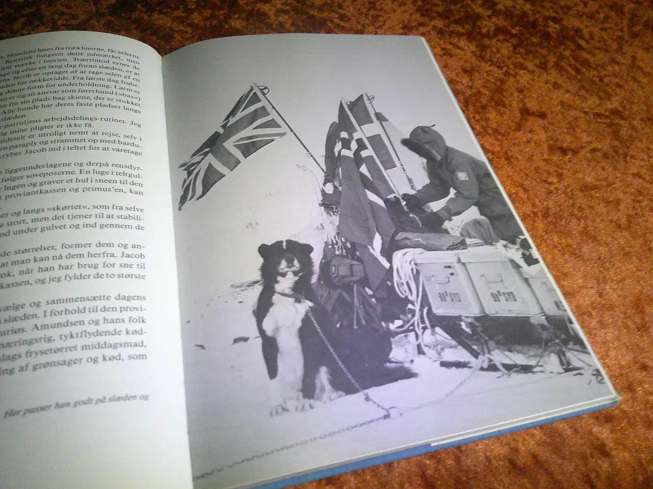 Billede 4 - Mod 90° syd, Monica Kristensen