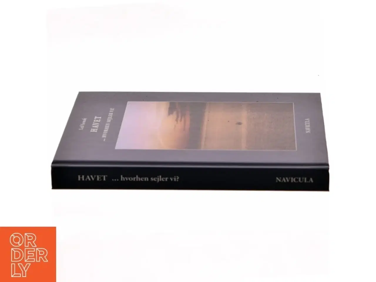 Billede 2 - Havet - hvorhen sejler vi? : illustreret med sindbilleder og evighedsbilleder af Leif Sestoft (Bog)