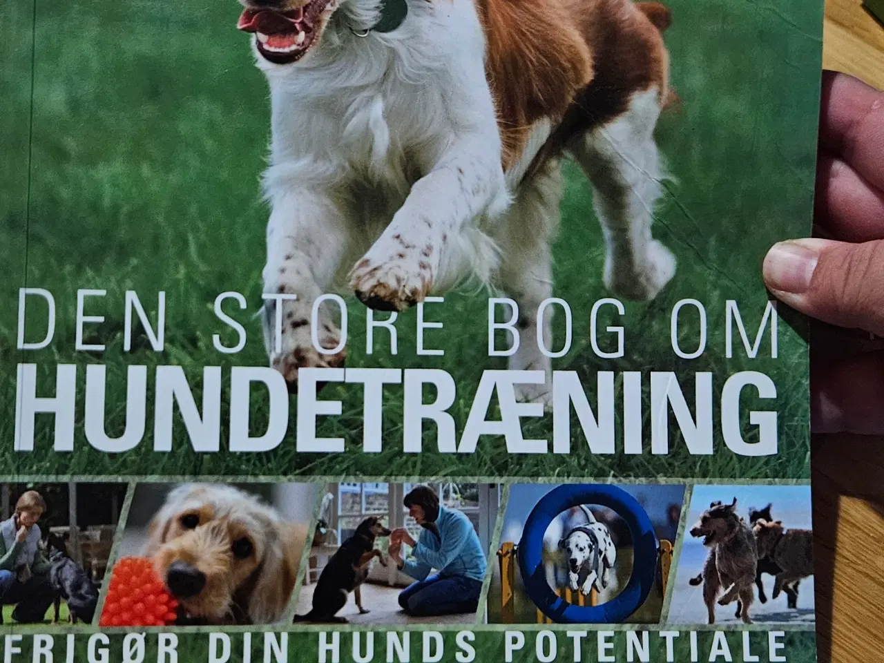 Billede 1 - Den store bog om hundetræning