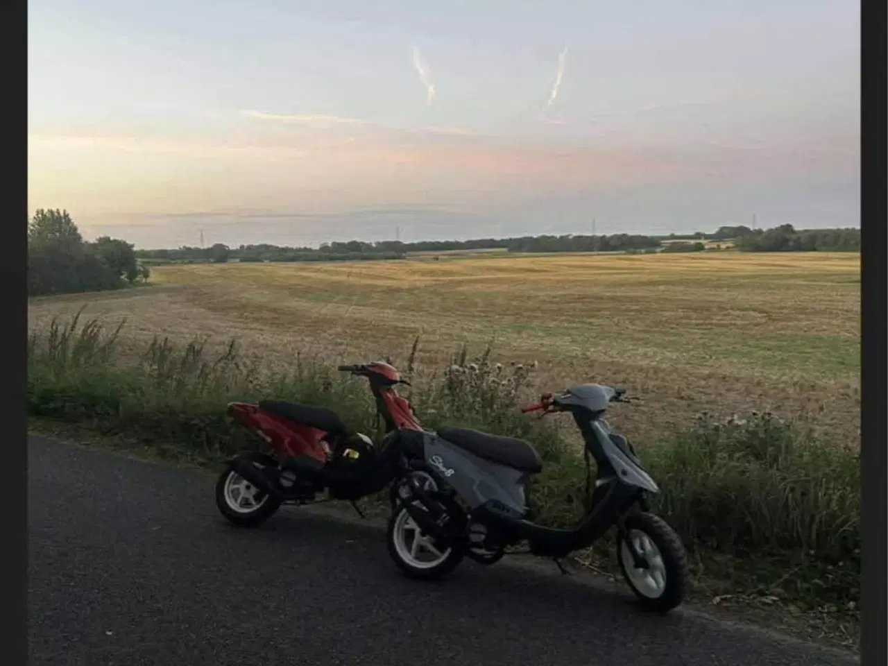 Billede 2 - Hotjog 2005