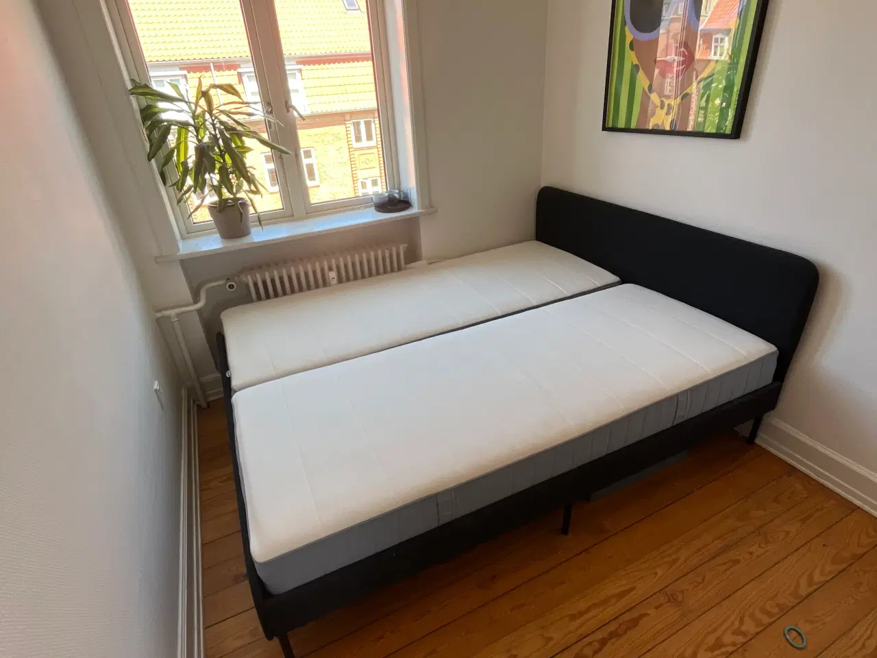 Billede 1 - Seng 160 x 200 (sengeramme + madrasser)
