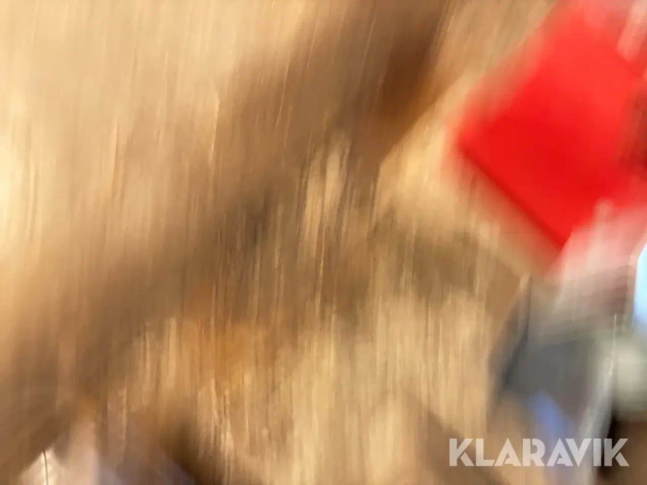 Billede 11 - Bejseanlæg til kartoffeludlægger Zibo