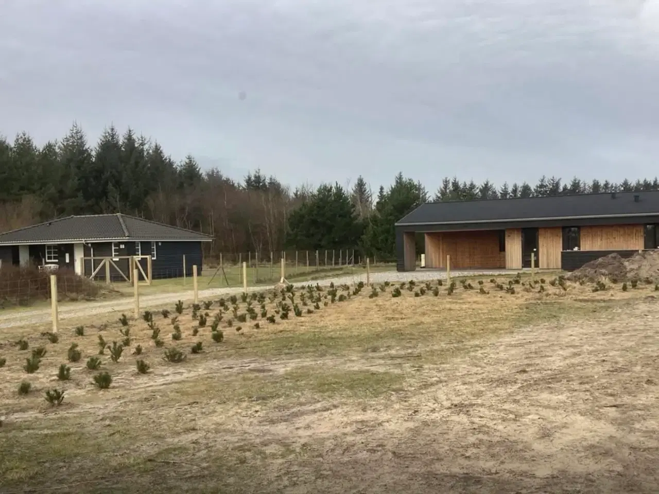 Billede 17 - Sommerhus udlejes …..hund tilladt