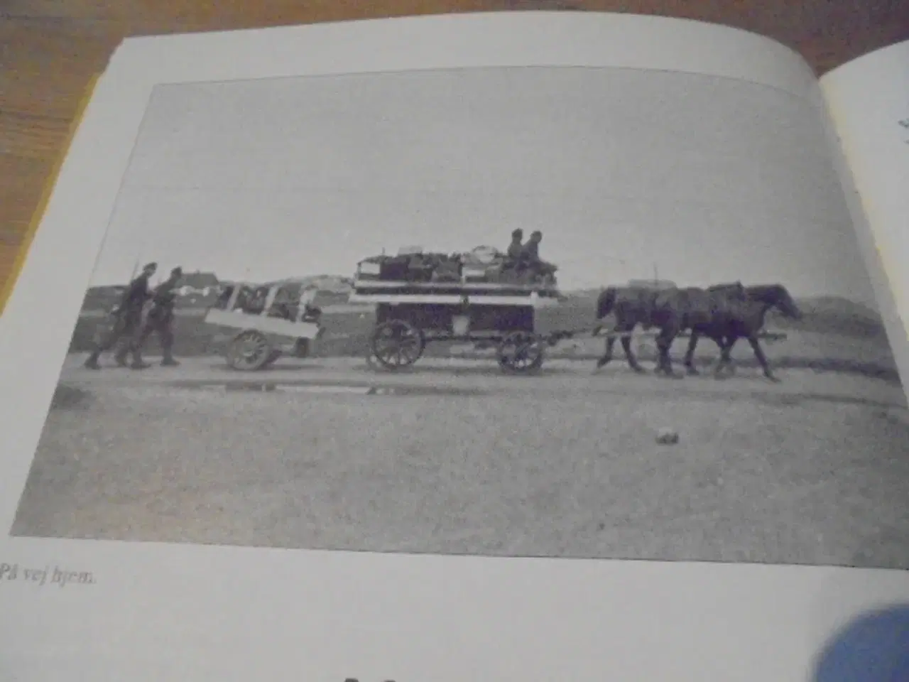 Billede 9 - Atlantvolden fra Nymindegab til Skallingen