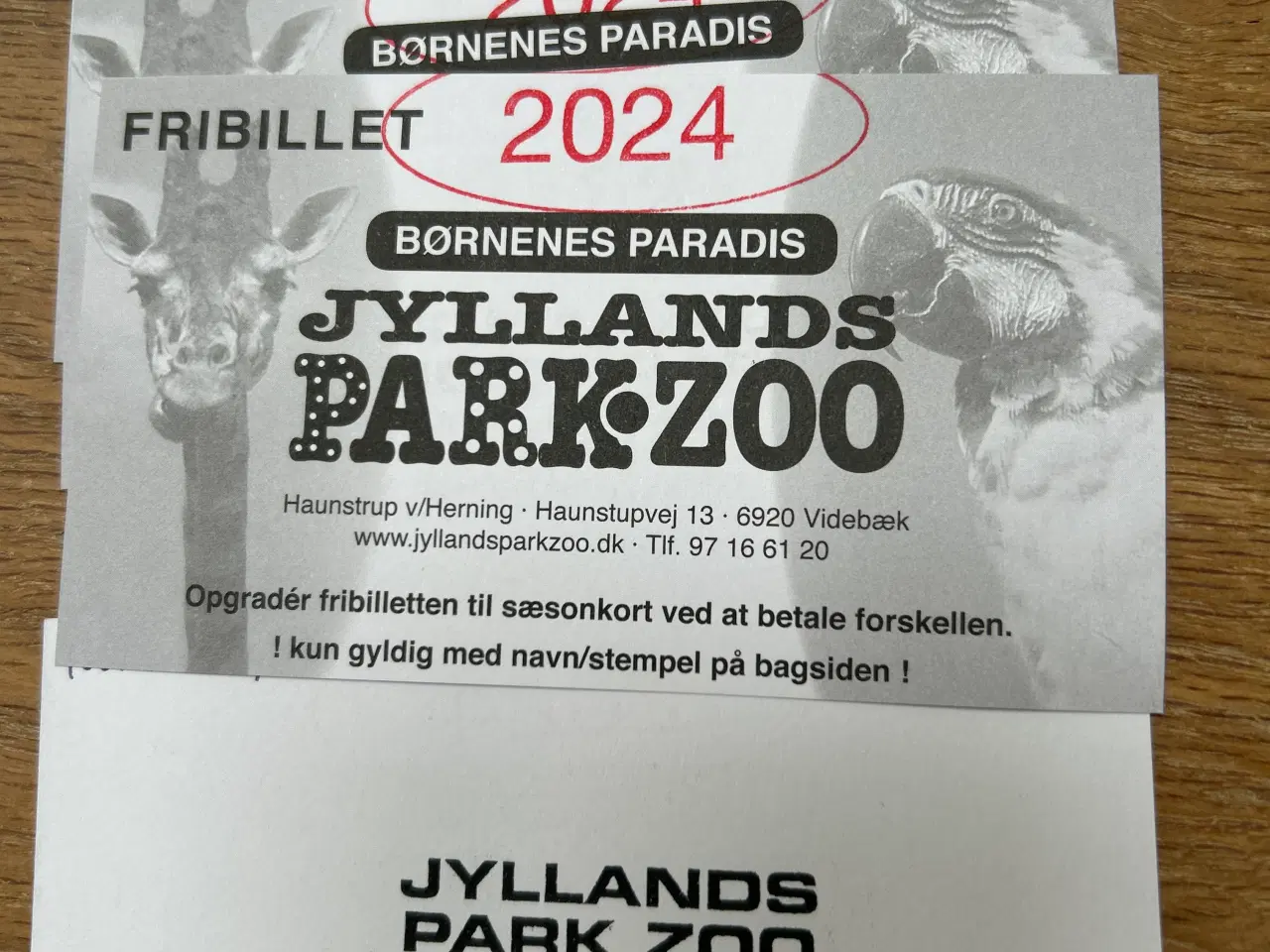 Billede 1 - Jyllands park zoo