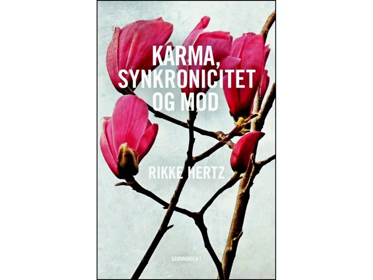 Billede 1 - Karma, synkronicitet og mod