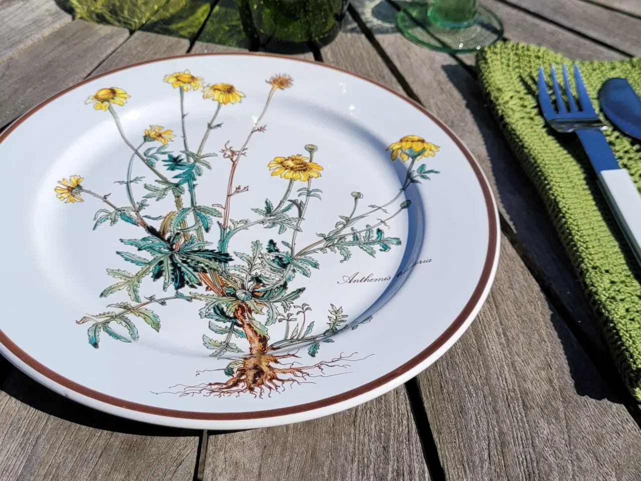 Billede 5 - Villeroy&Boch Botanica middagstallerkener