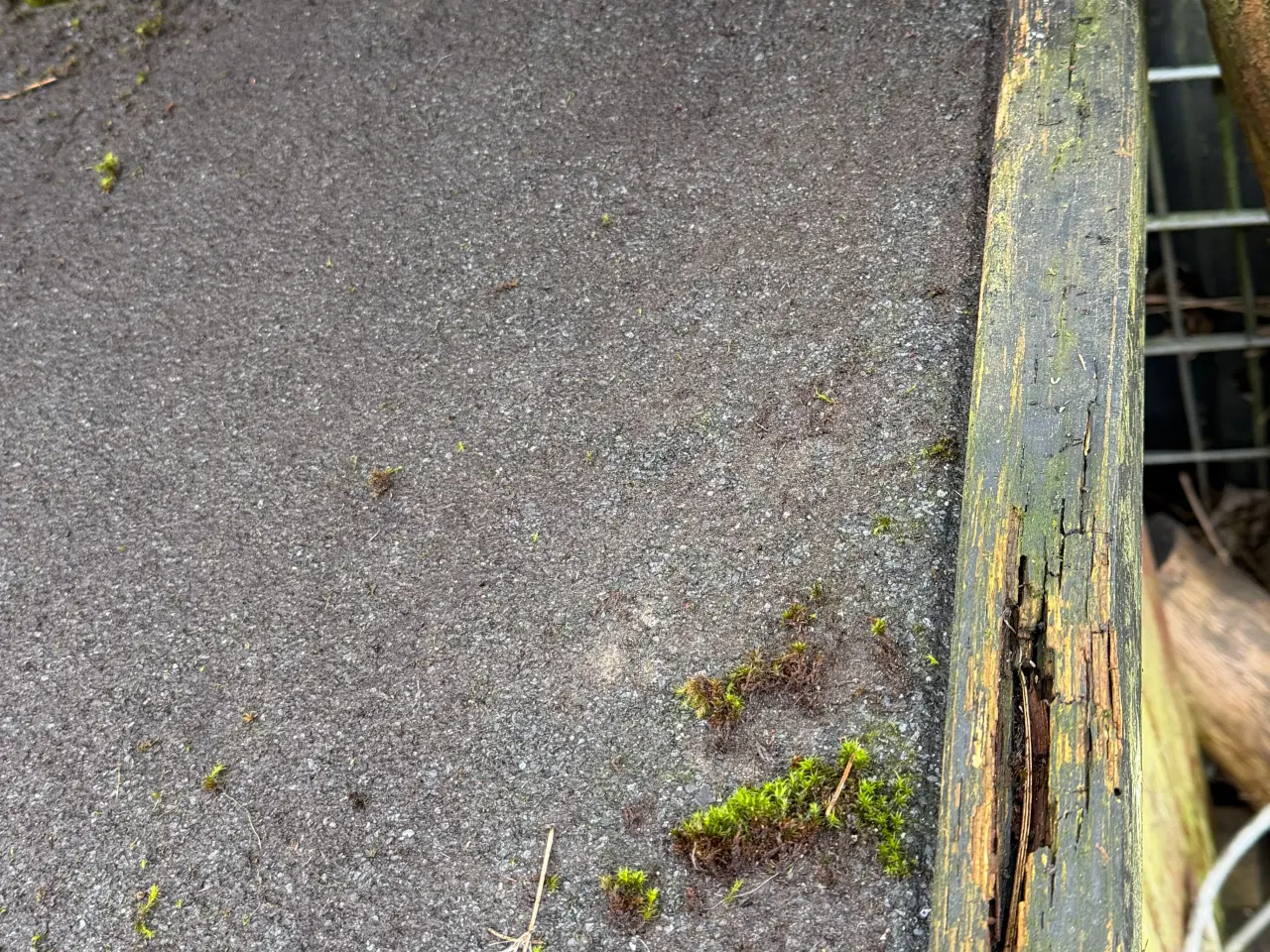 Billede 2 - Hundehus isoleret