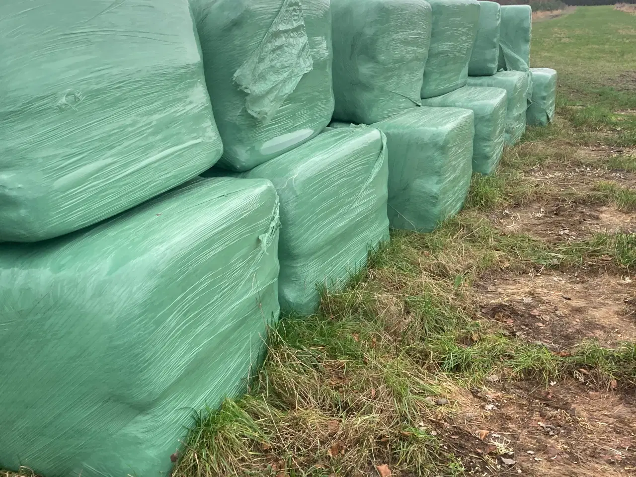 Billede 1 - Wrap fra 2025