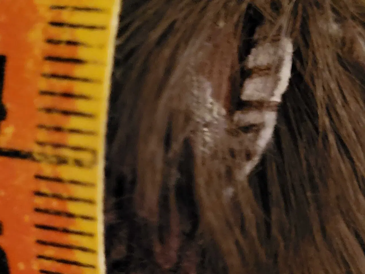 Billede 10 - Cardigan i super blødt lammeskind og uld