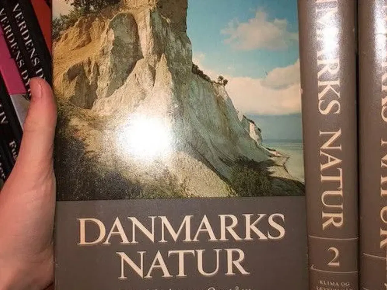 Billede 3 - Danmarks natur bind 1-12