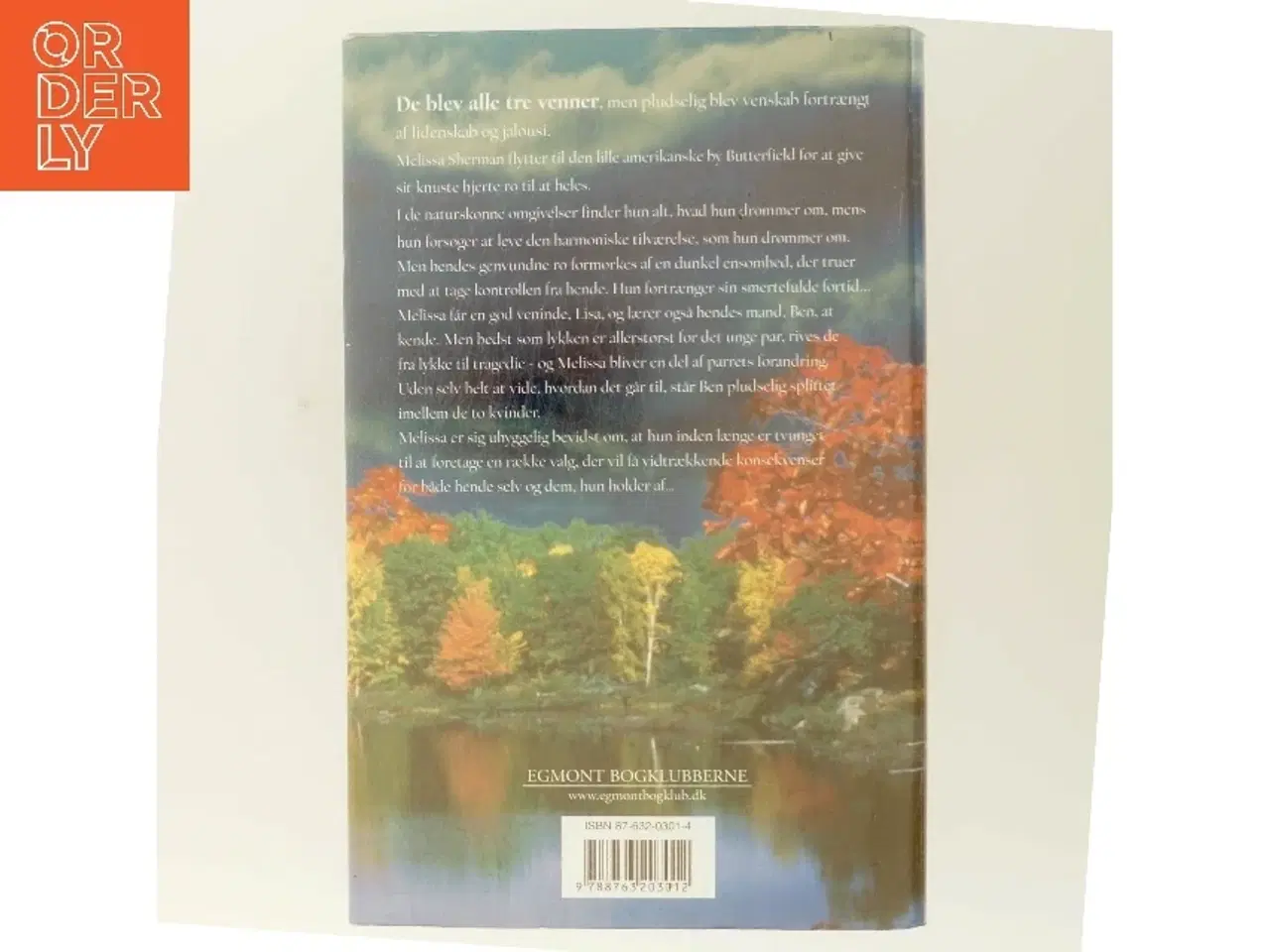 Billede 3 - Rør himlen af Susan Madison (Bog)