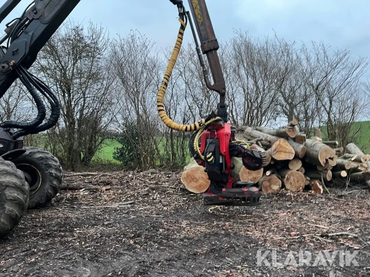 Billede 5 - Skovningsmaskine Silvatec 866TH